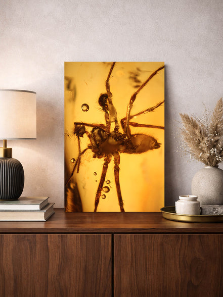 "Anansi" Fotodruck · Makroaufnahme Spinnen-Inkluse